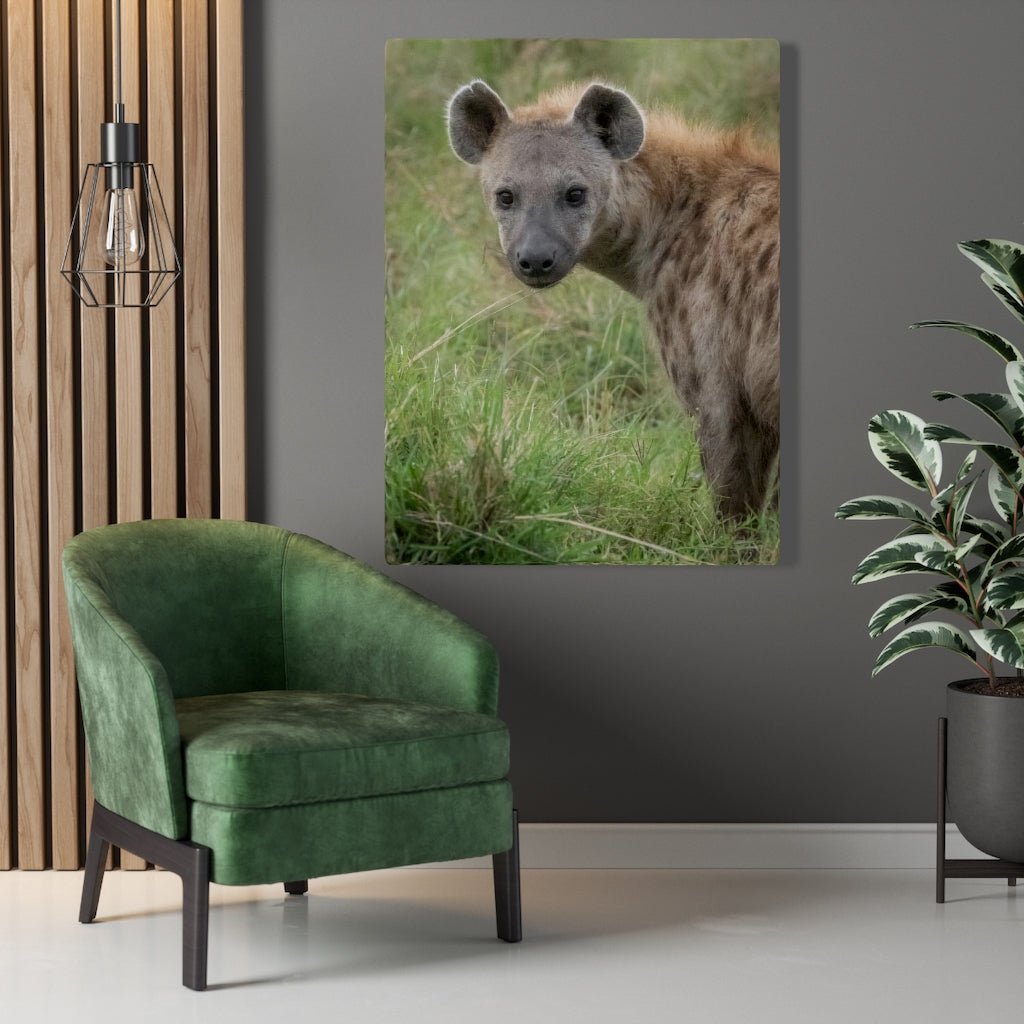 Hyena Stare - Canvas - Visiting This World