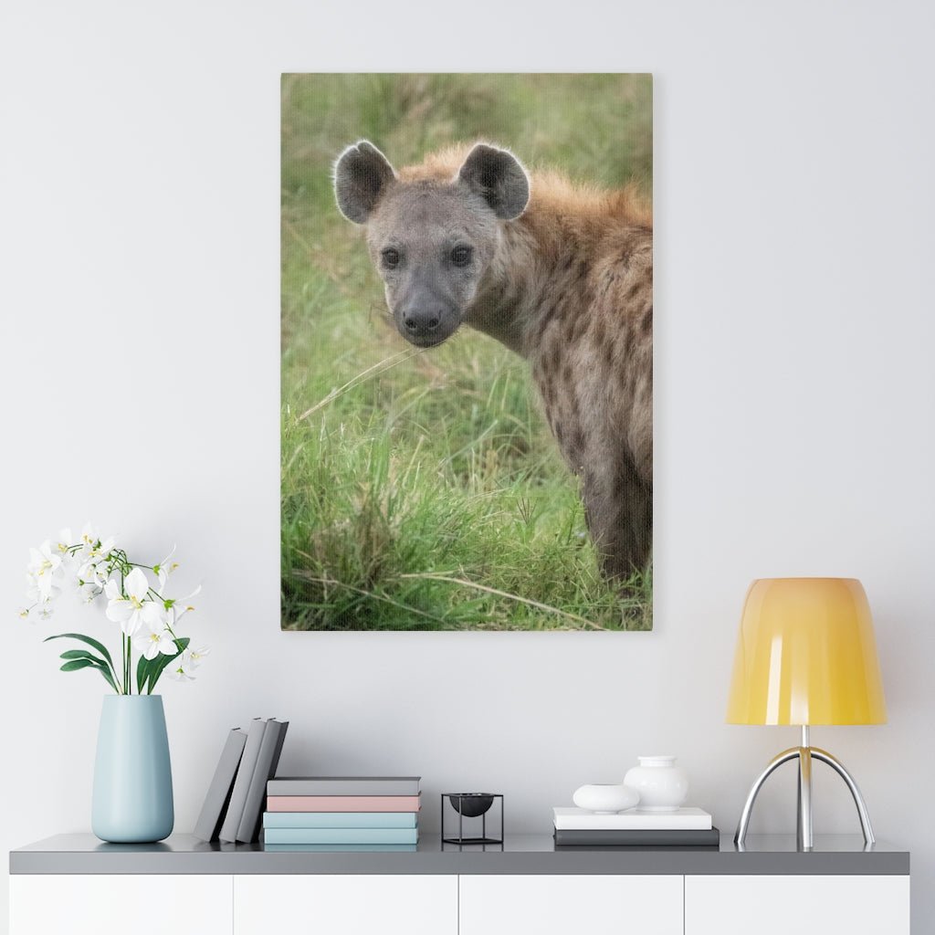 Hyena Stare - Canvas - Visiting This World