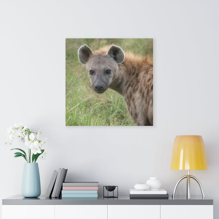 Hyena Stare - Canvas - Visiting This World