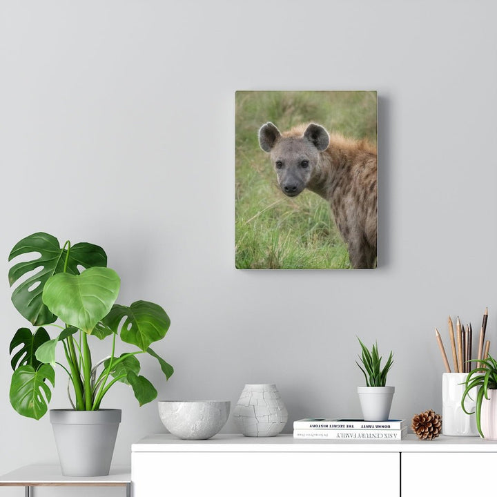 Hyena Stare - Canvas - Visiting This World