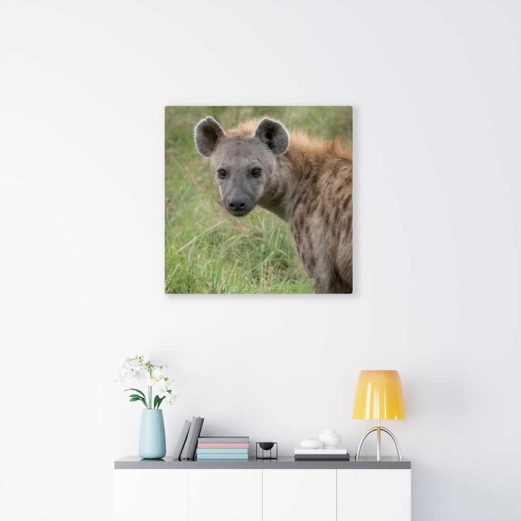 Hyena Stare - Canvas - Visiting This World