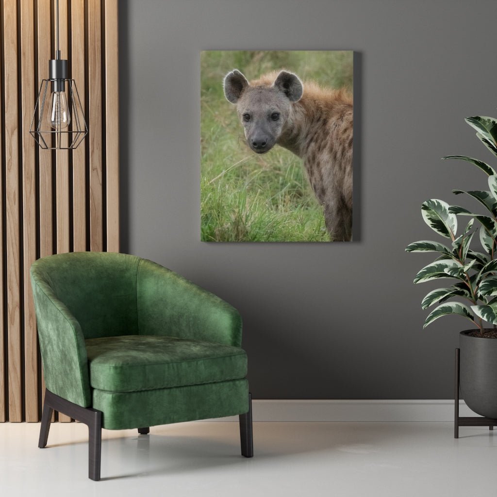 Hyena Stare - Canvas - Visiting This World