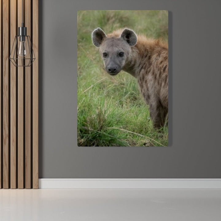 Hyena Stare - Canvas - Visiting This World