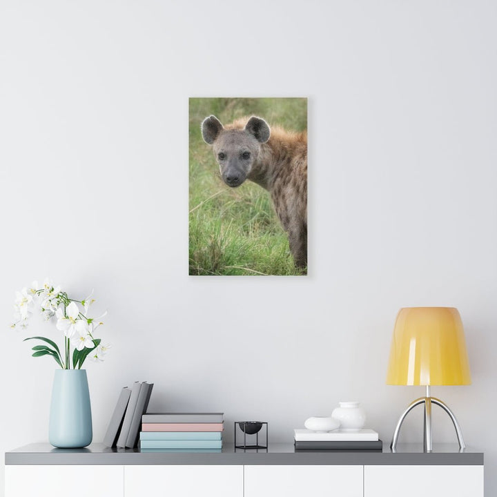 Hyena Stare - Canvas - Visiting This World