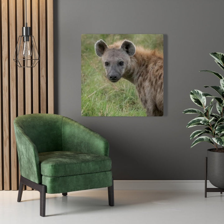 Hyena Stare - Canvas - Visiting This World