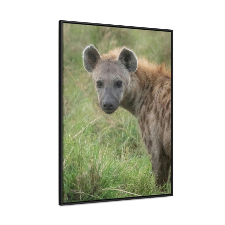 Hyena Stare - Canvas With Frame - Visiting This World