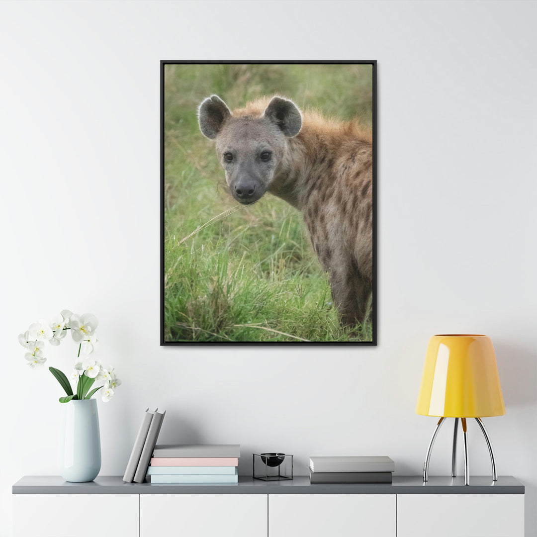 Hyena Stare - Canvas With Frame - Visiting This World