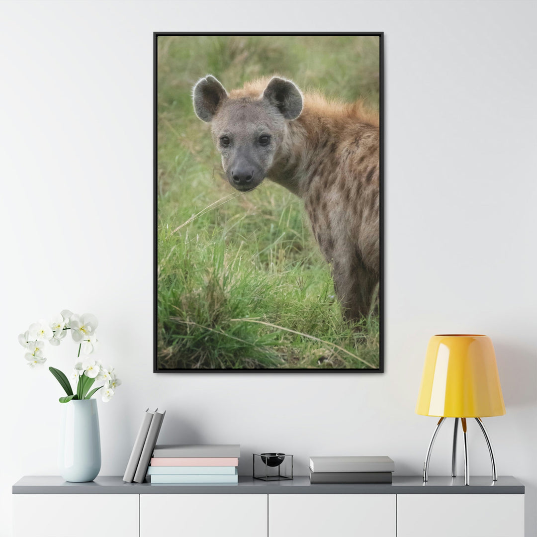 Hyena Stare - Canvas With Frame - Visiting This World