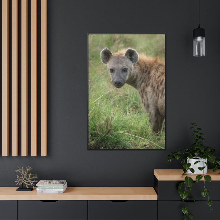 Hyena Stare - Canvas With Frame - Visiting This World