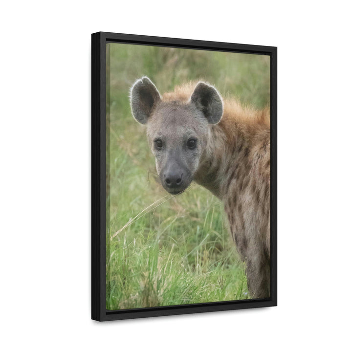 Hyena Stare - Canvas With Frame - Visiting This World