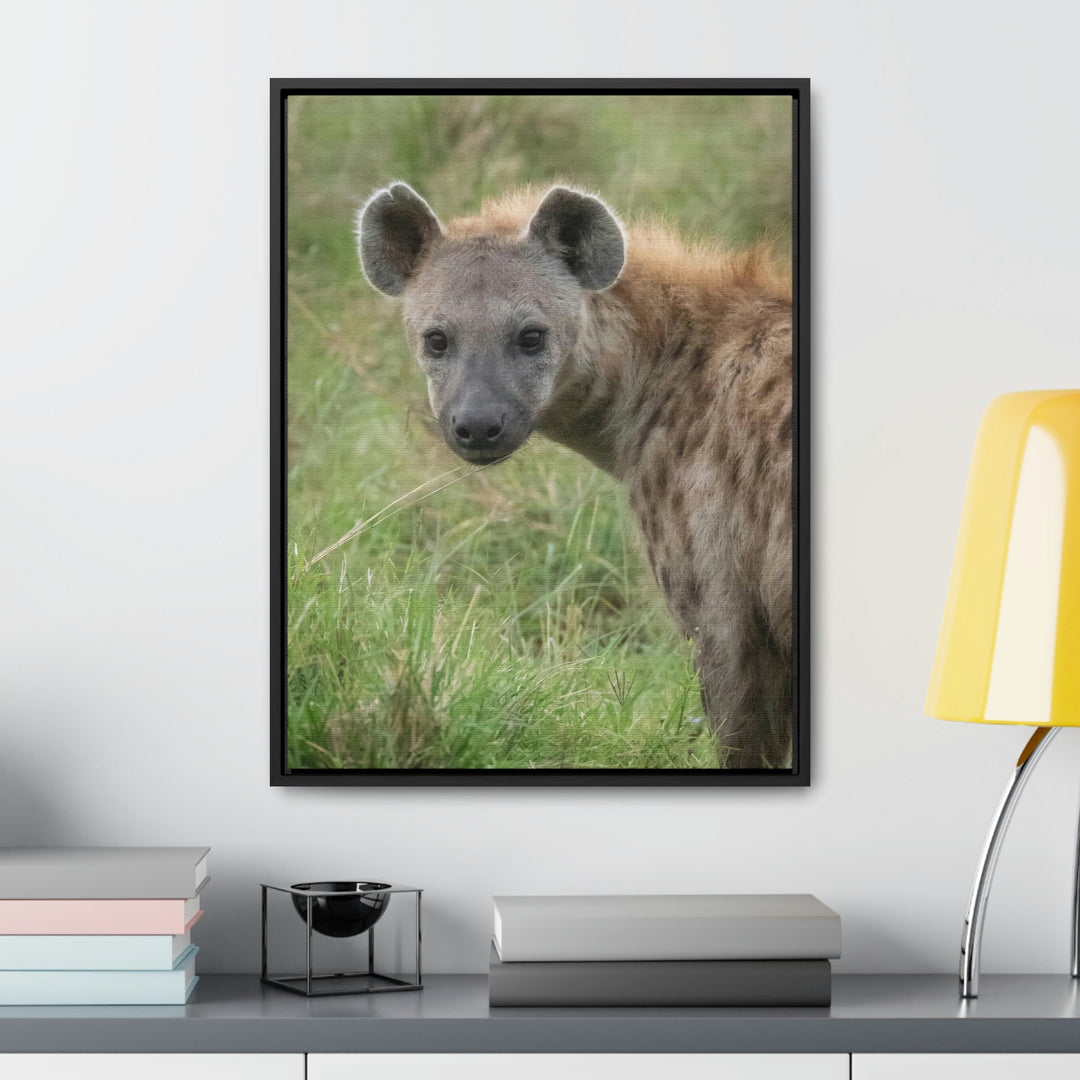 Hyena Stare - Canvas With Frame - Visiting This World