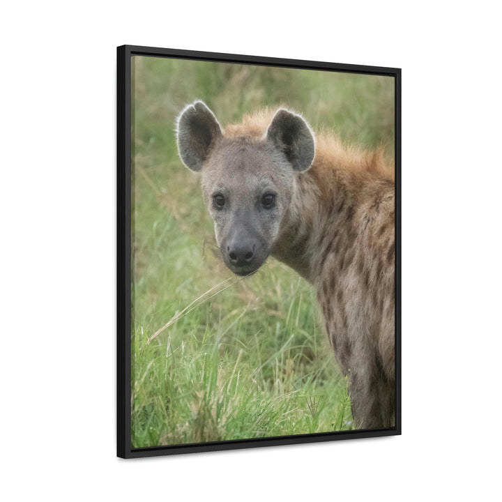 Hyena Stare - Canvas With Frame - Visiting This World