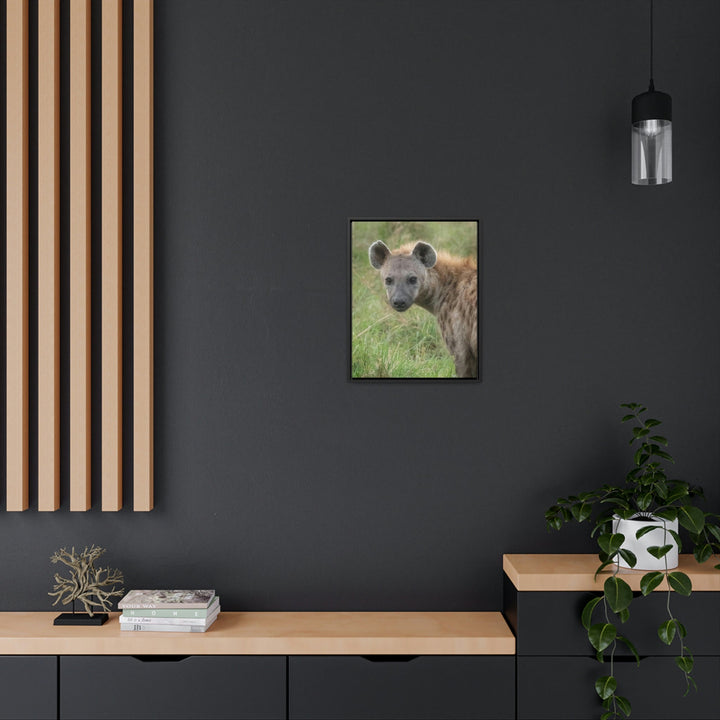 Hyena Stare - Canvas With Frame - Visiting This World