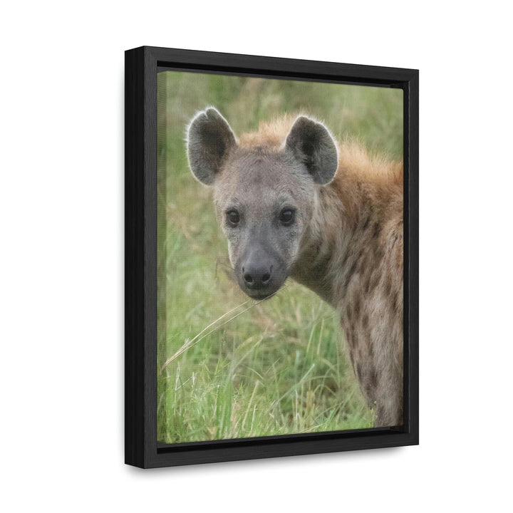 Hyena Stare - Canvas With Frame - Visiting This World