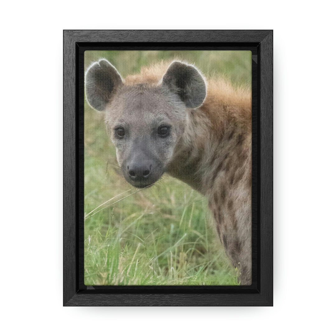 Hyena Stare - Canvas With Frame - Visiting This World