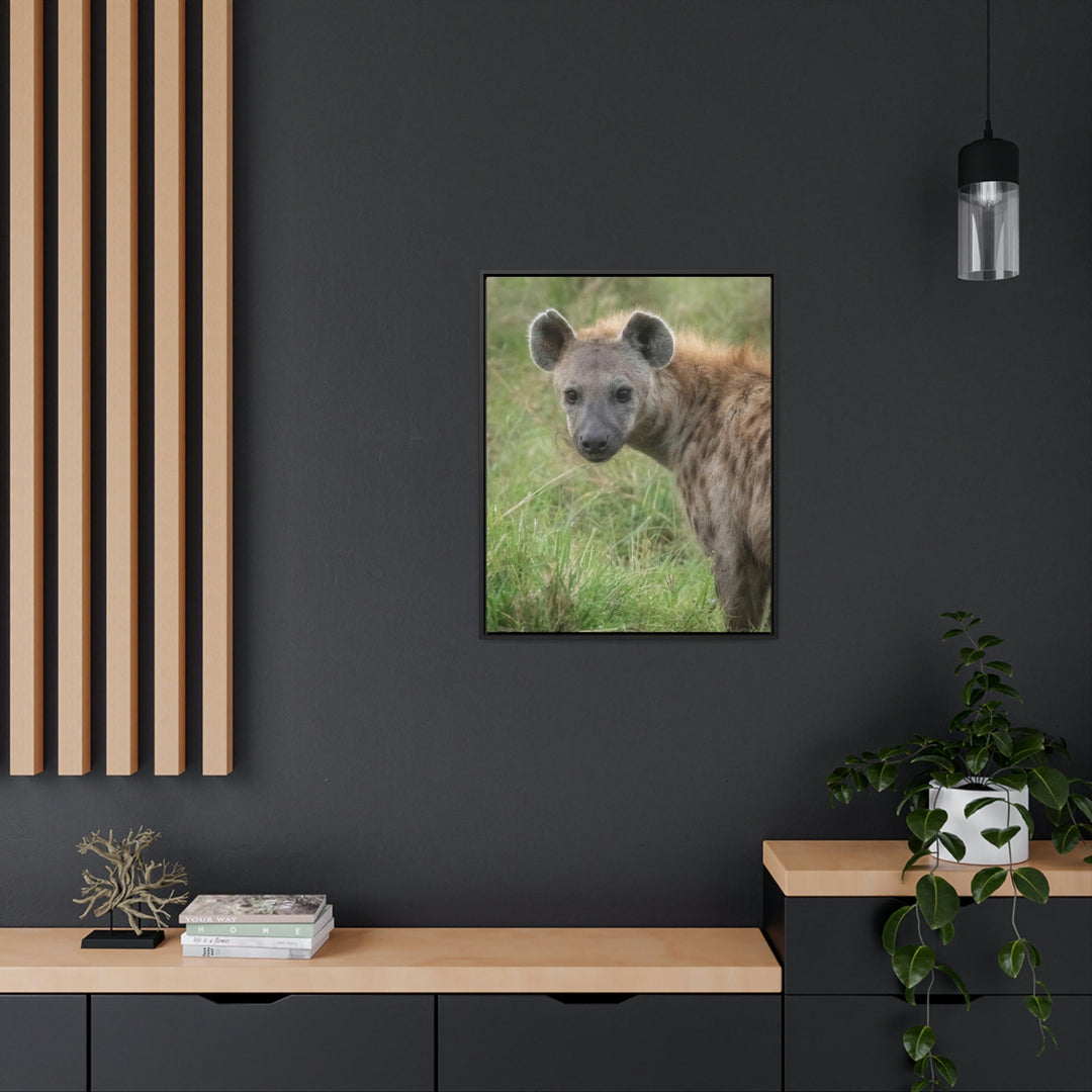 Hyena Stare - Canvas With Frame - Visiting This World