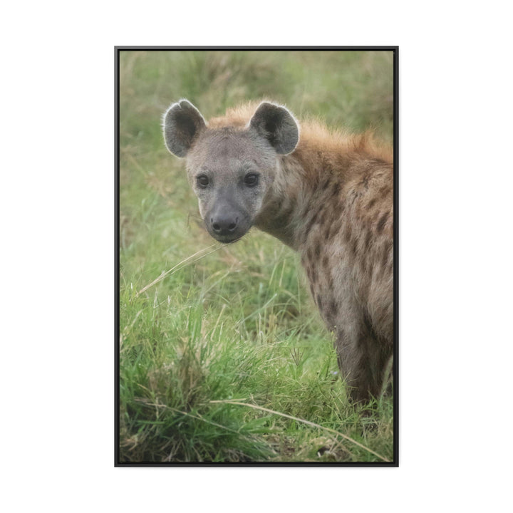 Hyena Stare - Canvas With Frame - Visiting This World