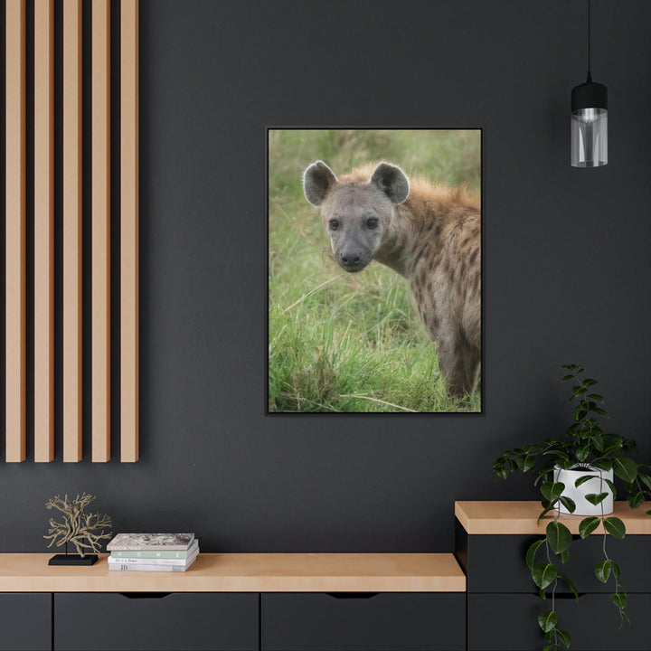 Hyena Stare - Canvas With Frame - Visiting This World