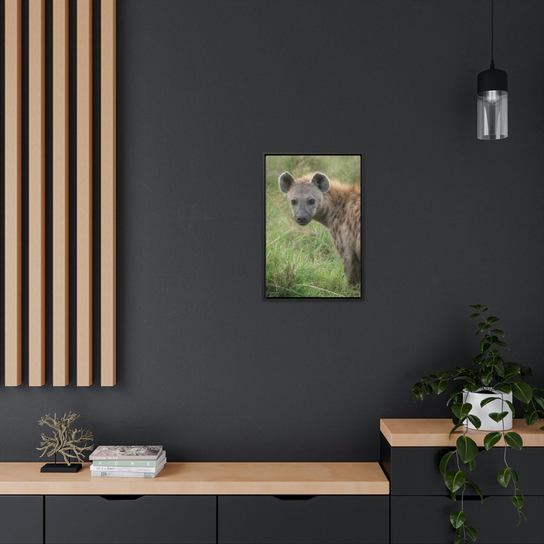 Hyena Stare - Canvas With Frame - Visiting This World