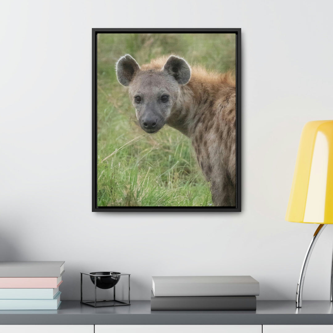 Hyena Stare - Canvas With Frame - Visiting This World