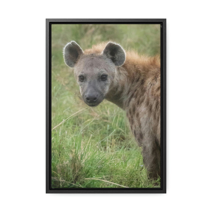 Hyena Stare - Canvas With Frame - Visiting This World