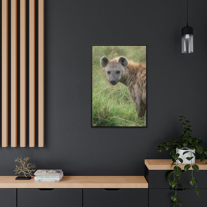 Hyena Stare - Canvas With Frame - Visiting This World