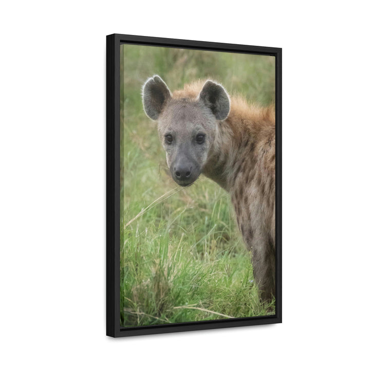 Hyena Stare - Canvas With Frame - Visiting This World