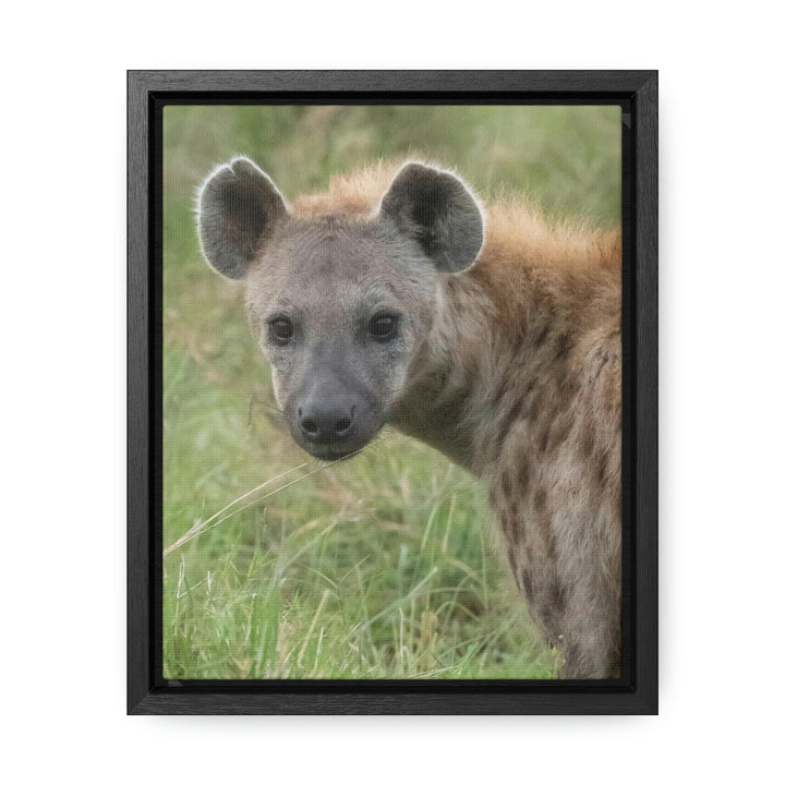 Hyena Stare - Canvas With Frame - Visiting This World