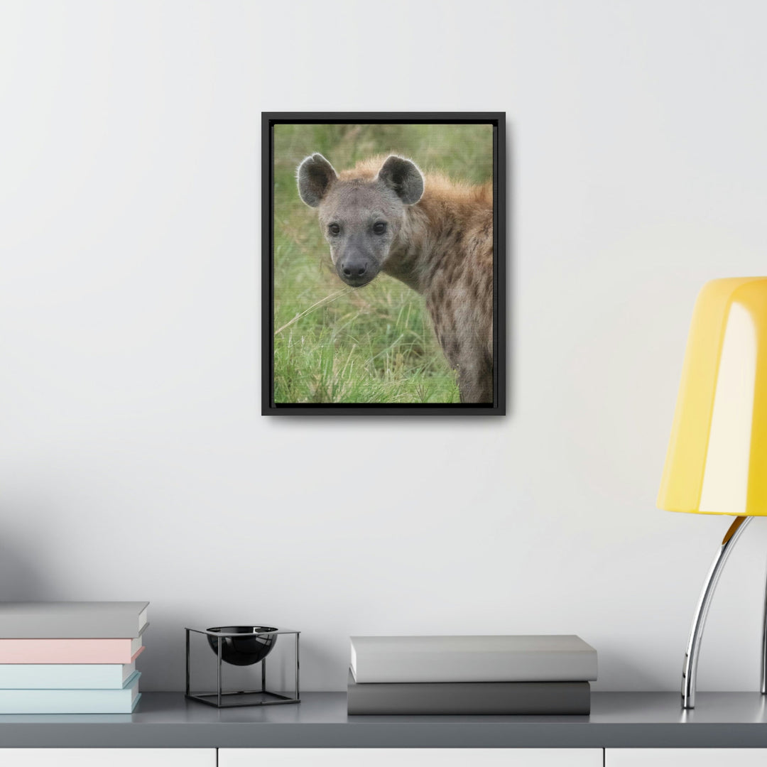 Hyena Stare - Canvas With Frame - Visiting This World