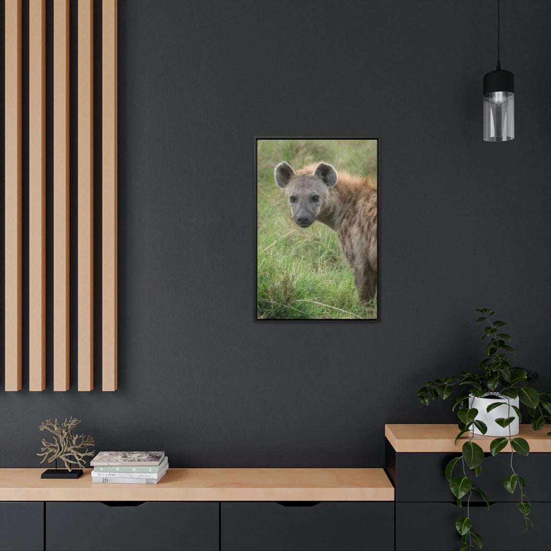 Hyena Stare - Canvas With Frame - Visiting This World