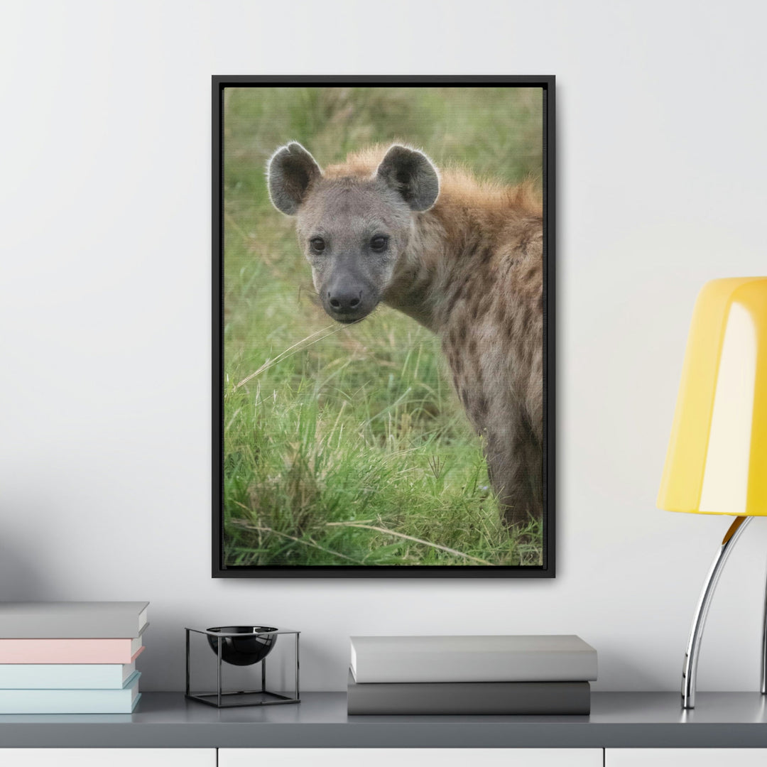 Hyena Stare - Canvas With Frame - Visiting This World