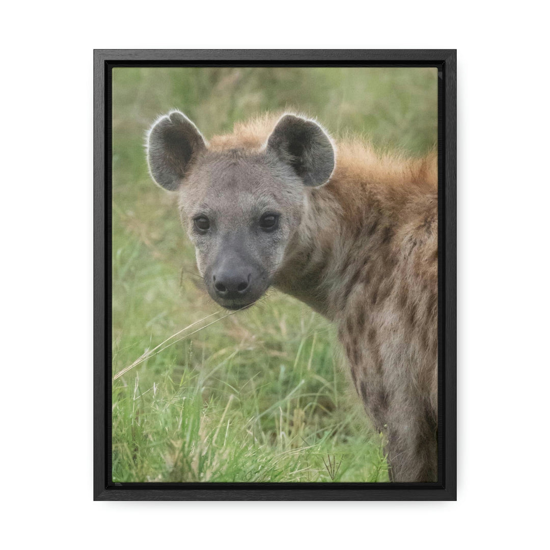 Hyena Stare - Canvas With Frame - Visiting This World