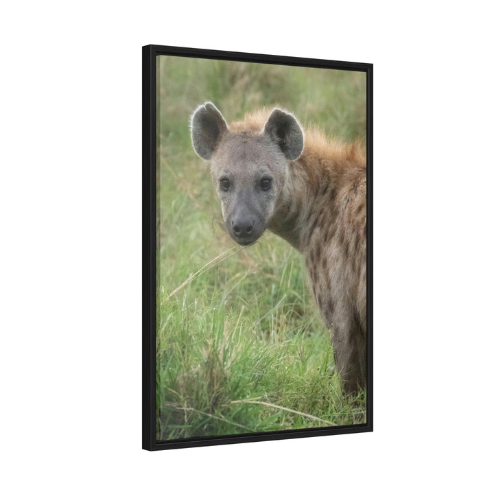 Hyena Stare - Canvas With Frame - Visiting This World