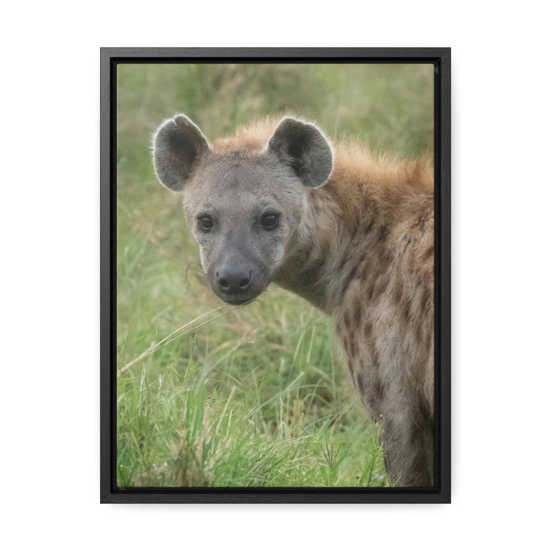 Hyena Stare - Canvas With Frame - Visiting This World