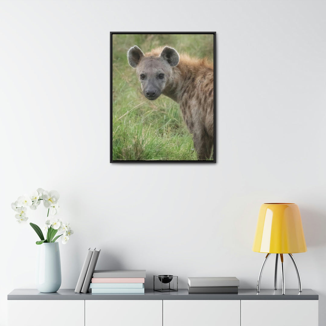 Hyena Stare - Canvas With Frame - Visiting This World