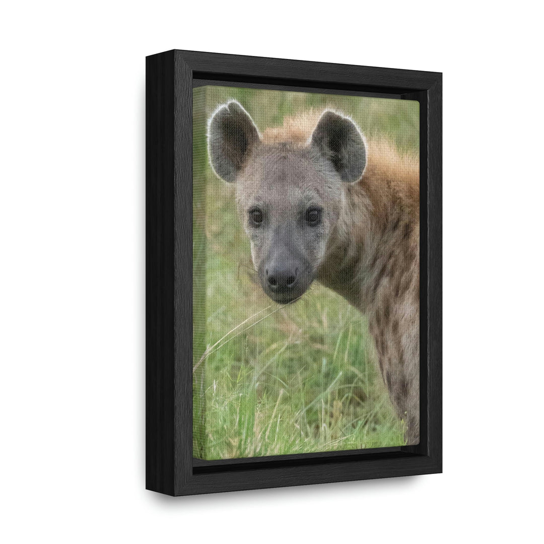 Hyena Stare - Canvas With Frame - Visiting This World