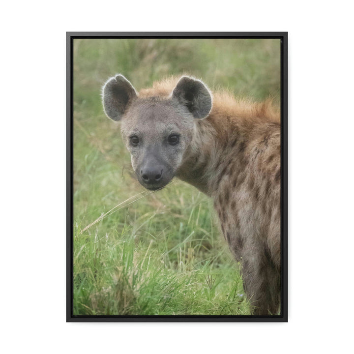 Hyena Stare - Canvas With Frame - Visiting This World