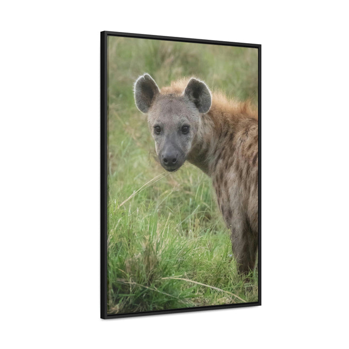 Hyena Stare - Canvas With Frame - Visiting This World