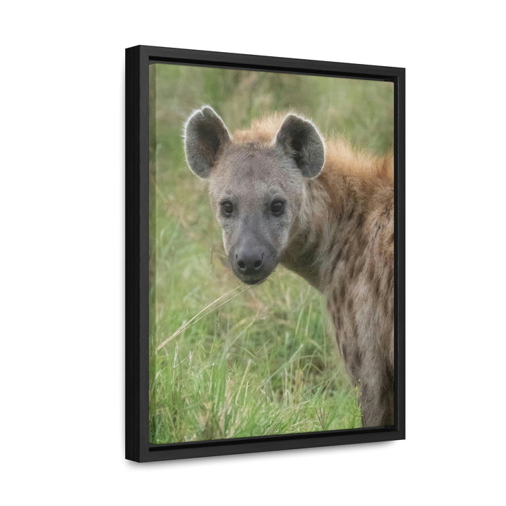 Hyena Stare - Canvas With Frame - Visiting This World