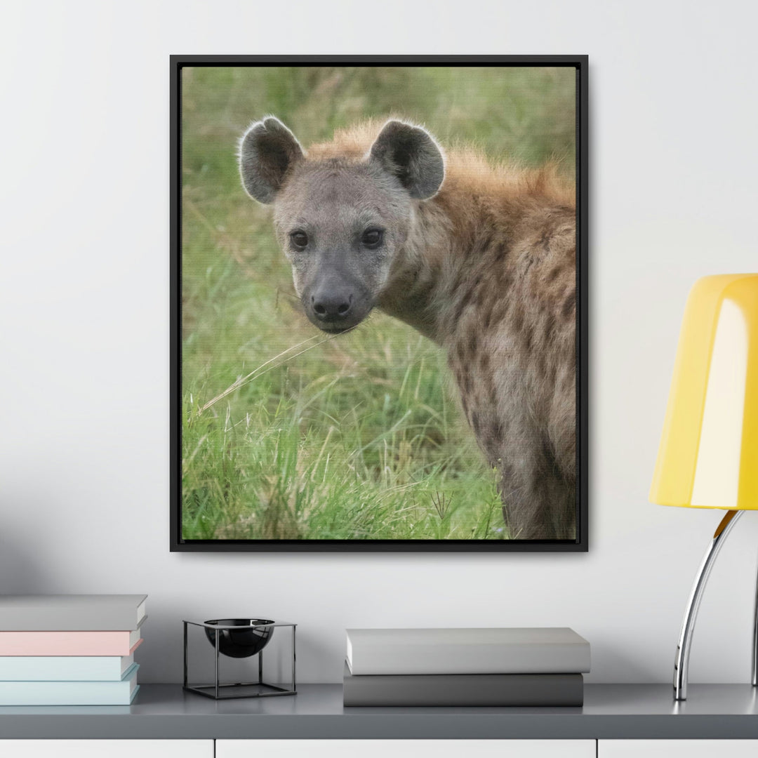 Hyena Stare - Canvas With Frame - Visiting This World