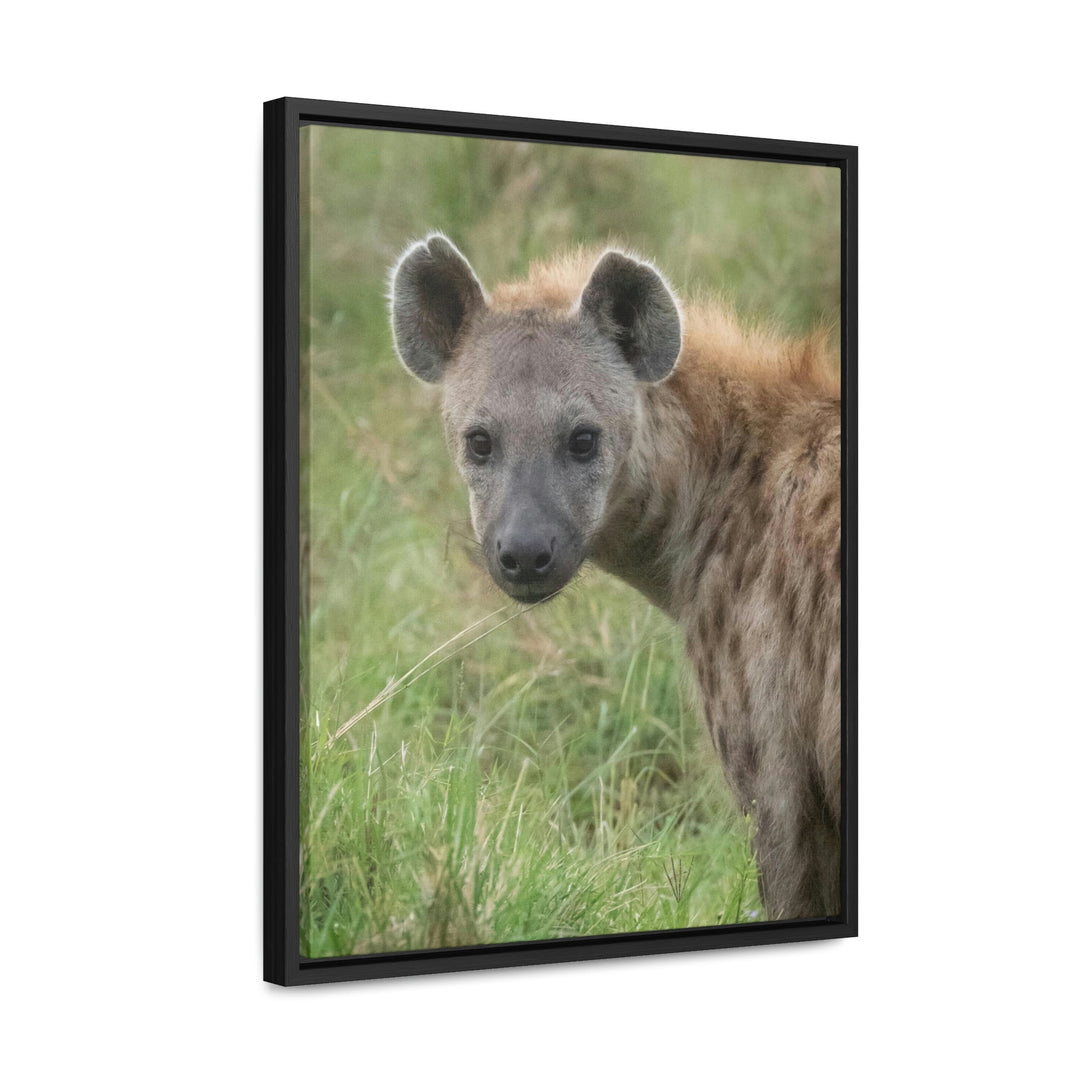 Hyena Stare - Canvas With Frame - Visiting This World