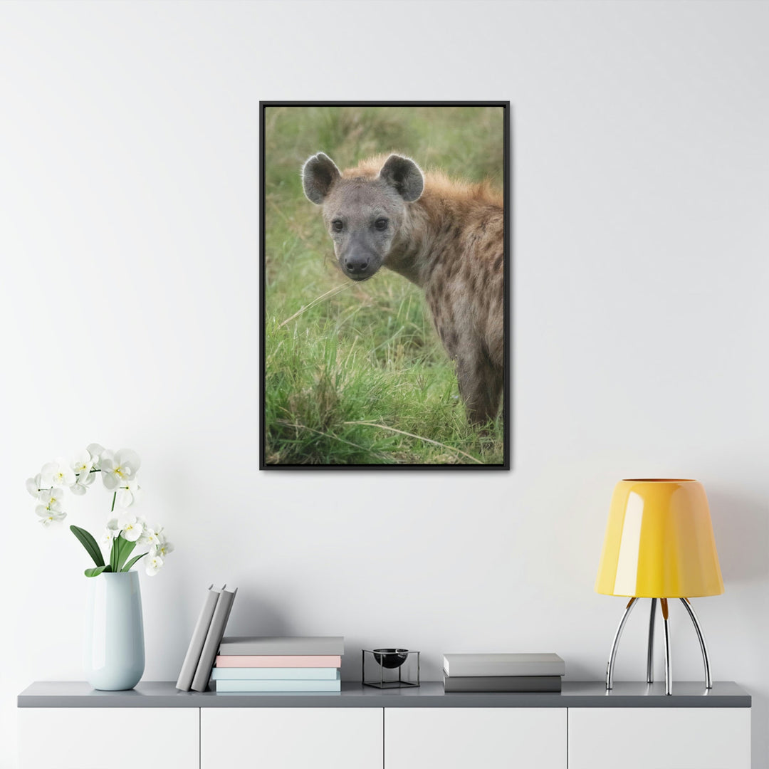 Hyena Stare - Canvas With Frame - Visiting This World