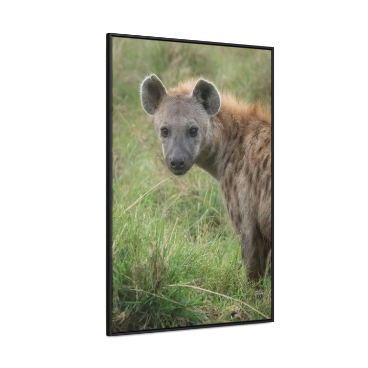 Hyena Stare - Canvas With Frame - Visiting This World