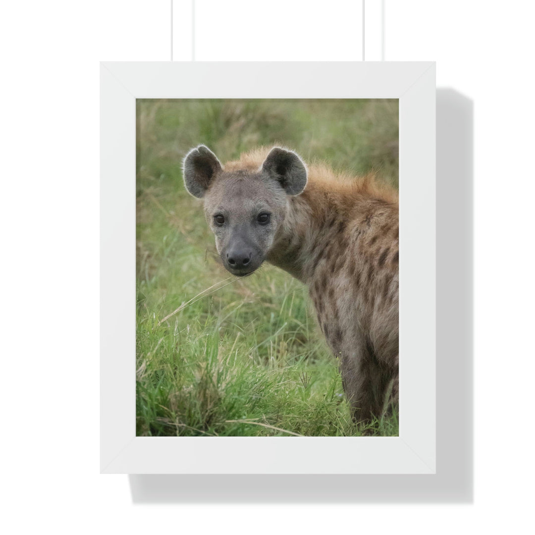 Hyena Stare - Framed Print - Visiting This World