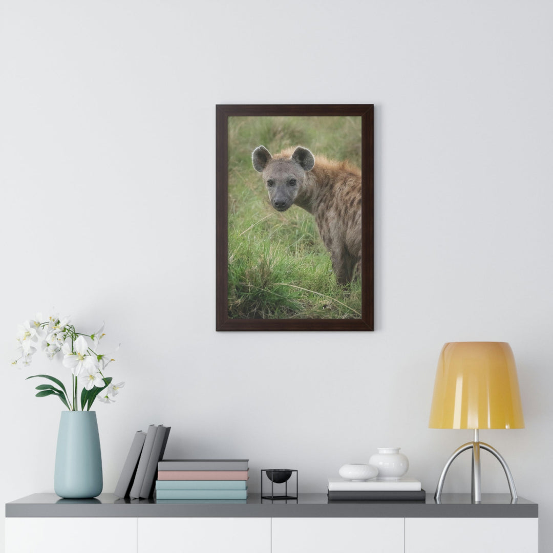 Hyena Stare - Framed Print - Visiting This World