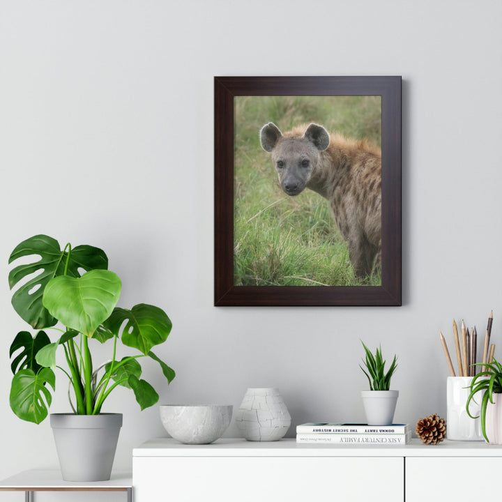 Hyena Stare - Framed Print - Visiting This World