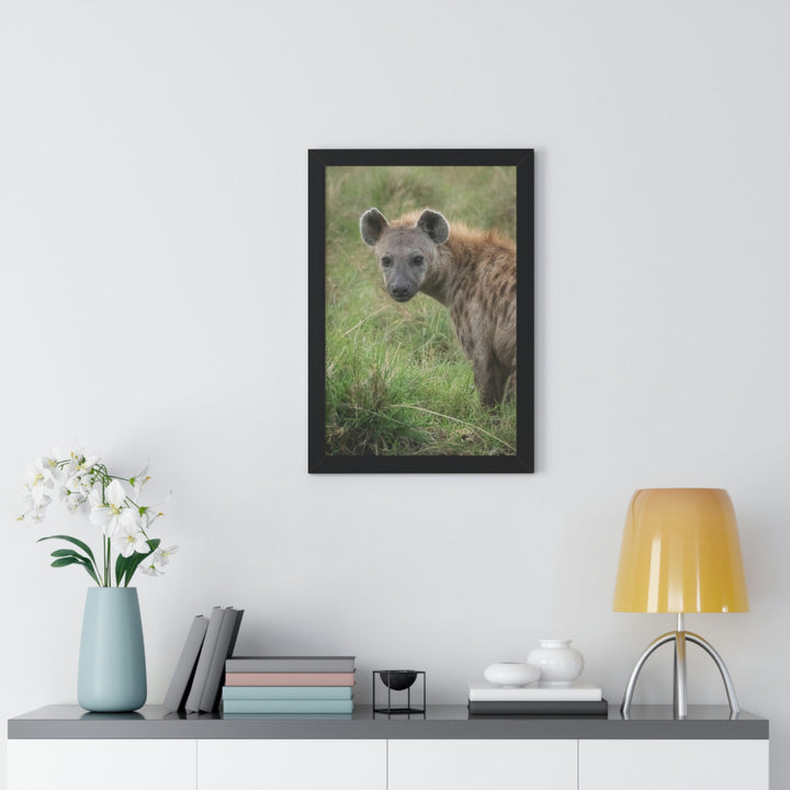 Hyena Stare - Framed Print - Visiting This World