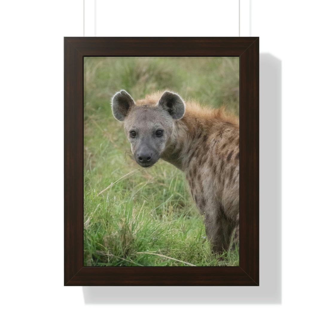 Hyena Stare - Framed Print - Visiting This World