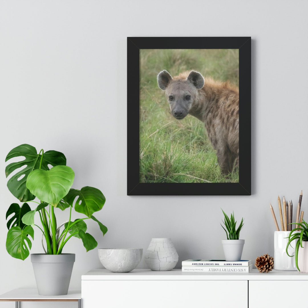 Hyena Stare - Framed Print - Visiting This World