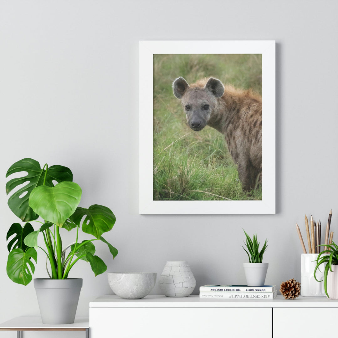 Hyena Stare - Framed Print - Visiting This World